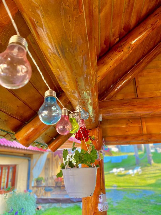 Отель Cabana Ancuta Выртоп Экстерьер фото
