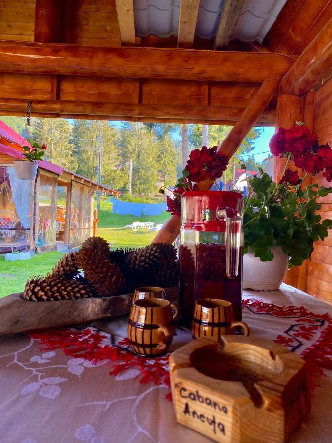 Отель Cabana Ancuta Выртоп Экстерьер фото